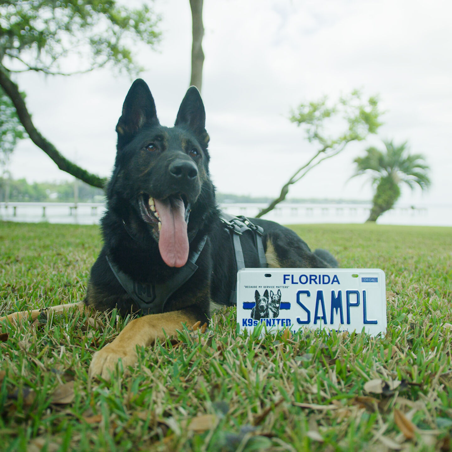 Police k9 2024 license plate