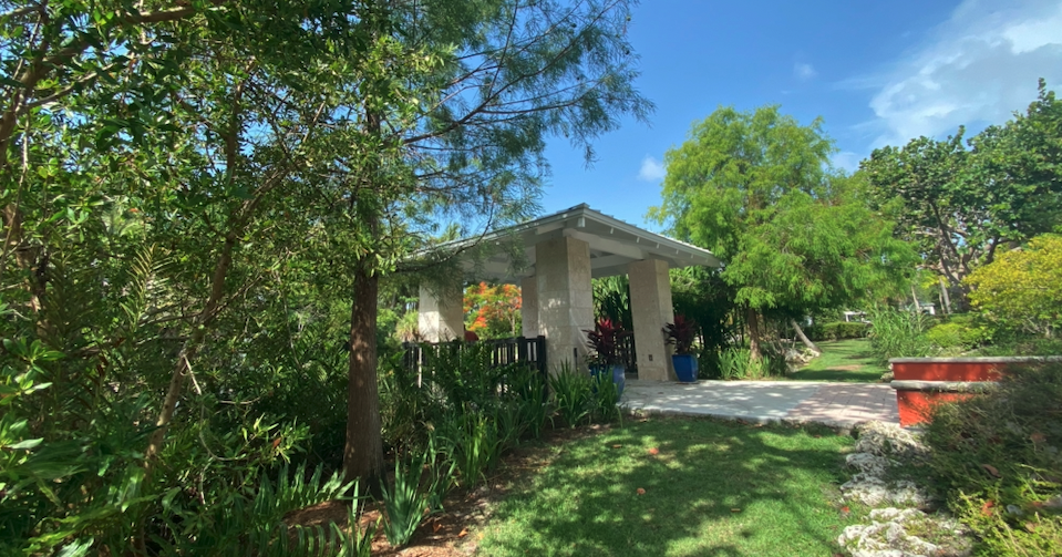 Milder Sunday weather for the island; King Tide triggers flood advisory