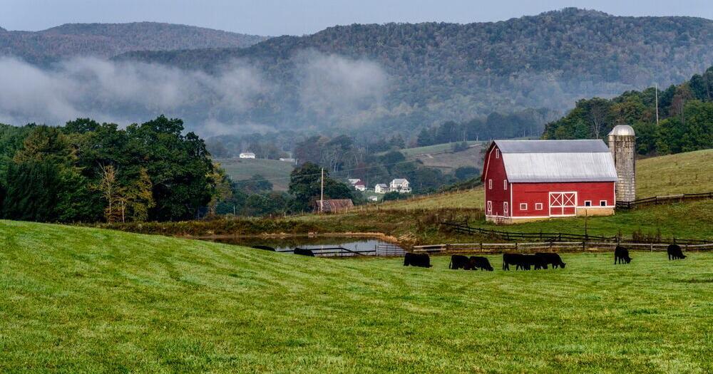 92.4% of Florida Farms Are Family-Owned
