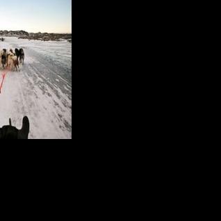 Musher Nukaaraq Lennert Olsen rides with his sled dogs near the 'dog town' of Sisimiut, Greenland