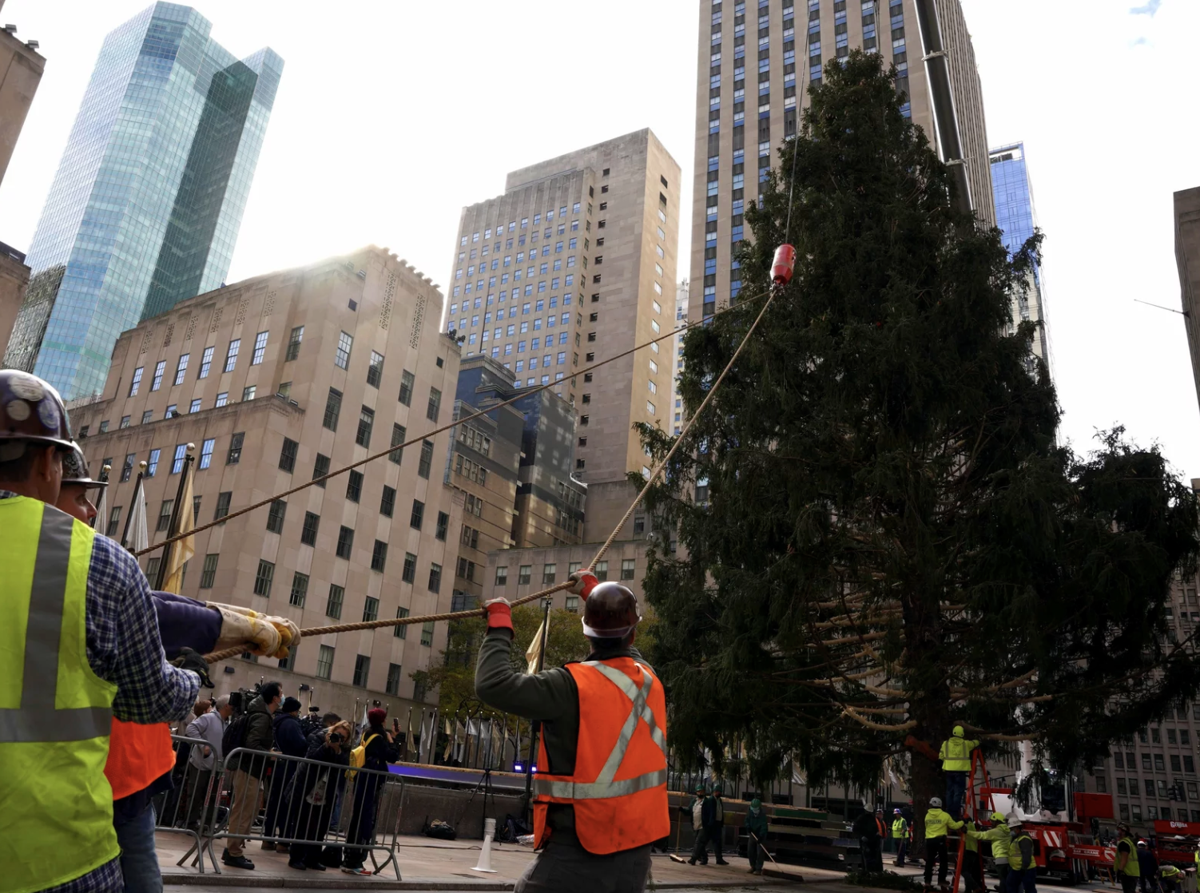 The rockefeller tree tragedy