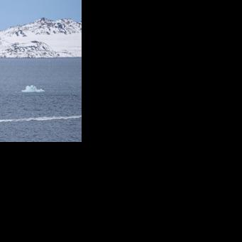 Greenland is an autonomous territory within the Kingdom of Denmark