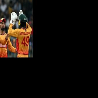 Zimbabwe have been the surprise package of the T20 World Cup