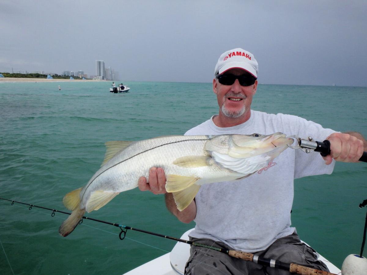 Inshore Snook Fishing News Islandernews Com