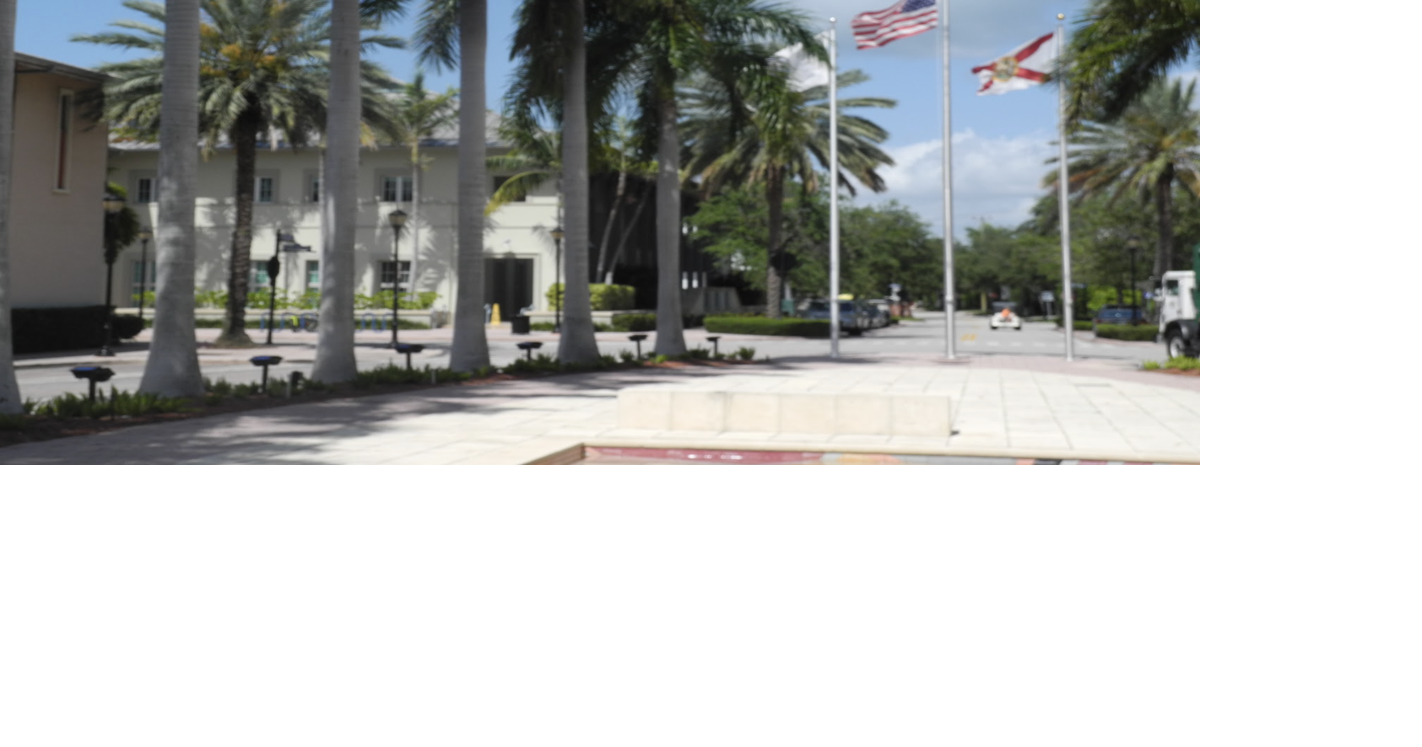 Higher property values allow Council to set a millage tax rate for island homeowners lower than