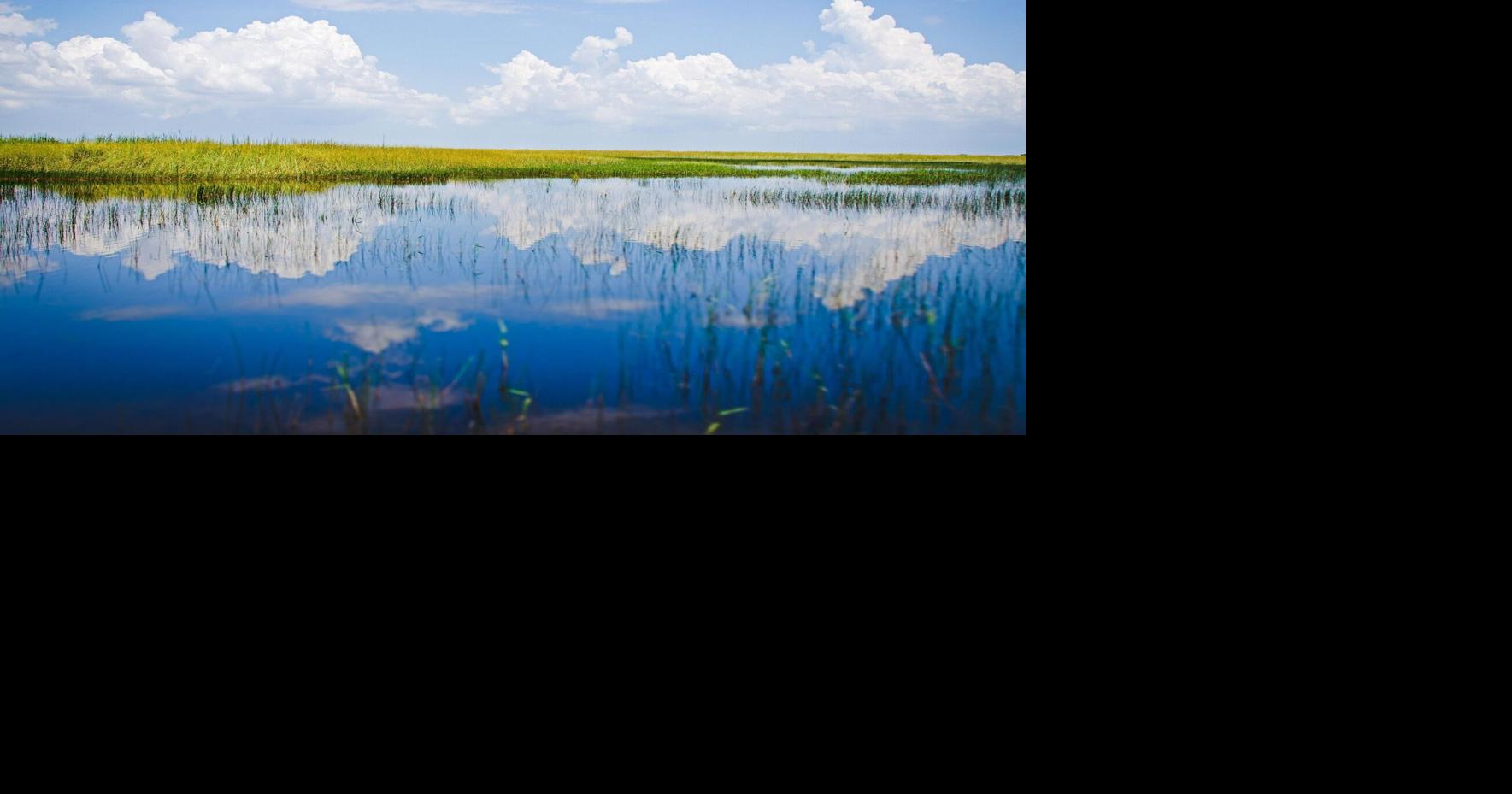 Everglades brings in $31.5 billion through ecosystem services