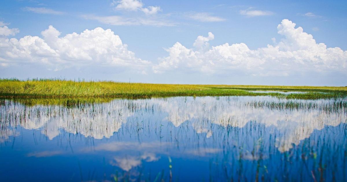 Everglades brings in $31.5 billion through ecosystem services