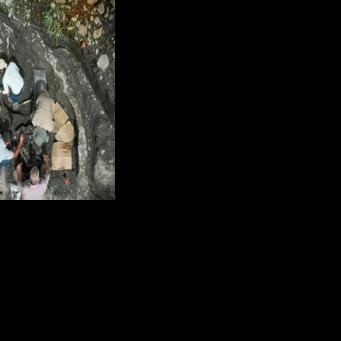 Researchers have so far recovered 49 bone pieces including a femur, vertebrae and ribs from the mastodon and giant sloth