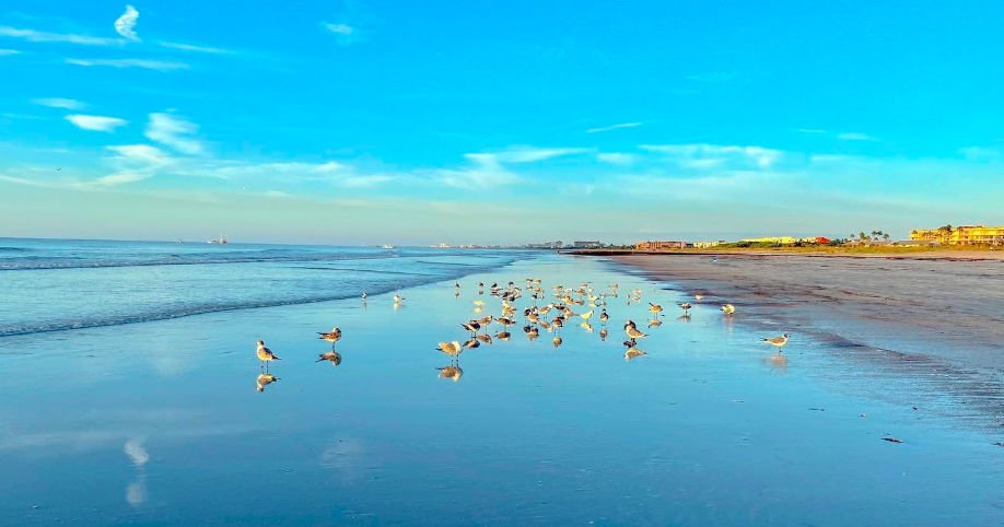 Florida logra el mayor número de visitantes en su historia