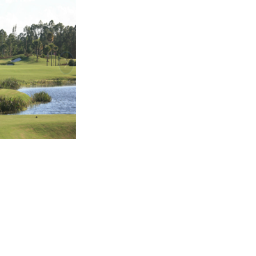 Man killed with his own golf clubs in South Florida golf course
