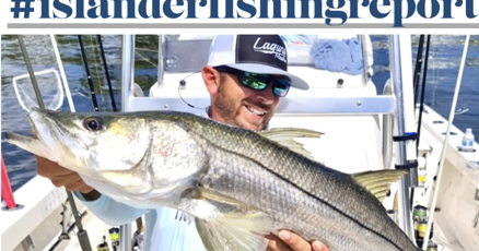 Winds come and go, but the full moon should be good for taking Wahoo Winds come and go, but the full moon should be good for taking Wahoo