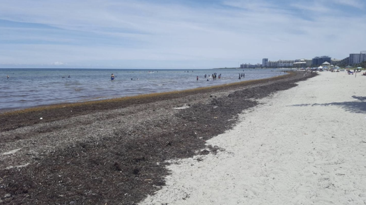 State will replace Key Biscayne sand after storm