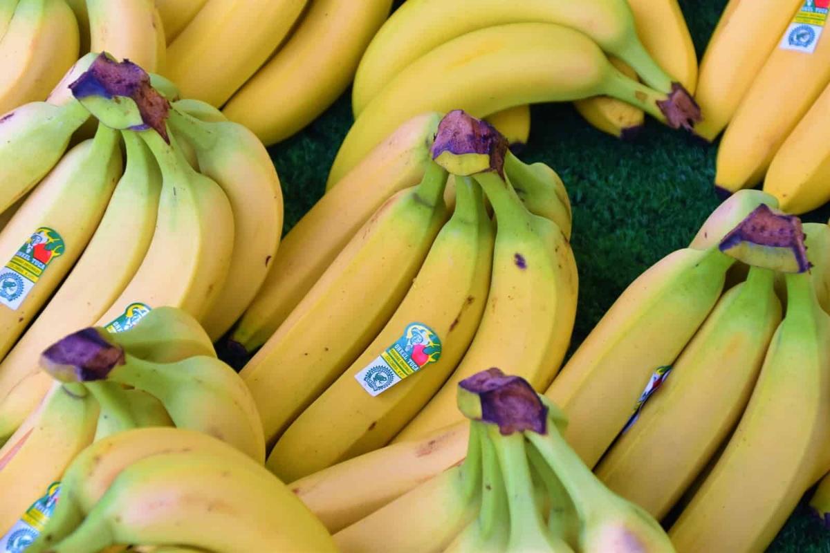 How To Keep Bananas Fresh So They Don't Turn Brown
