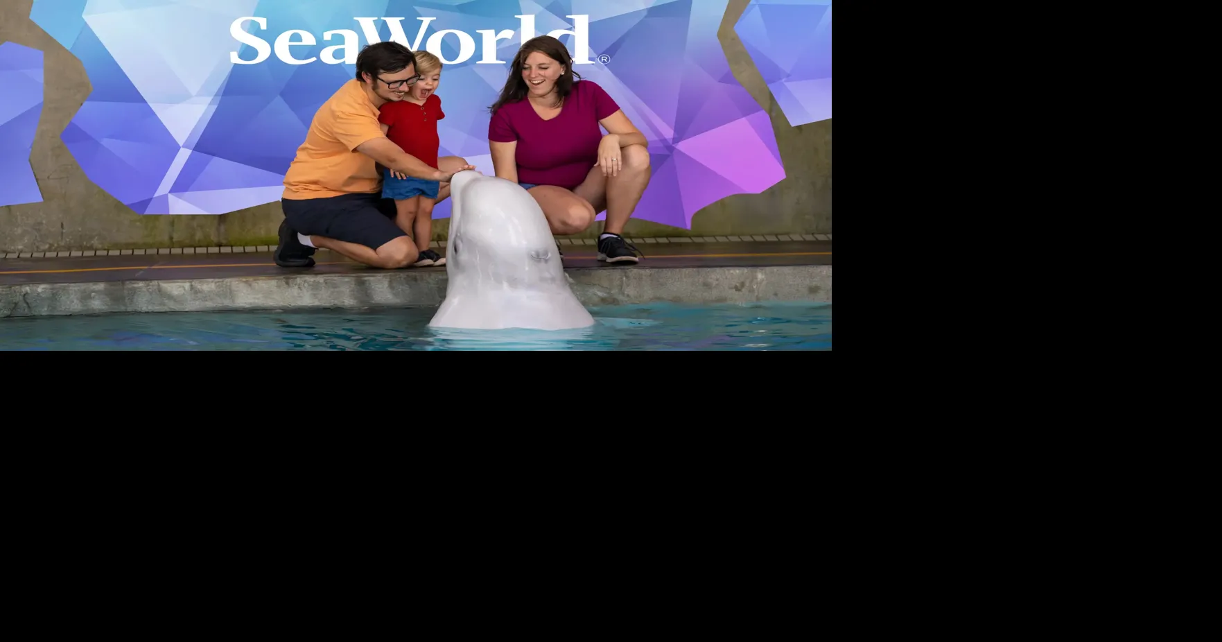 Key Biscayne and Florida teachers get free SeaWorld admission through 2027