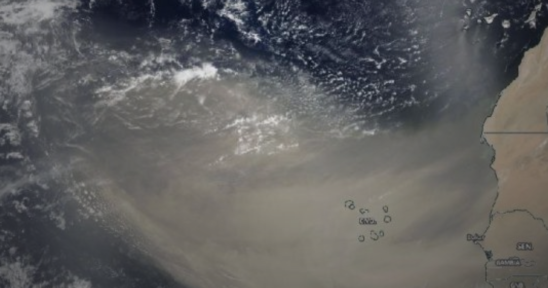 Saharan dust to reach US by this weekend | Nation | islandernews.com