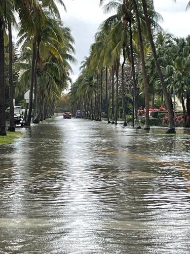 New digital tool offers early alerts on hazards | Miami | islandernews.com