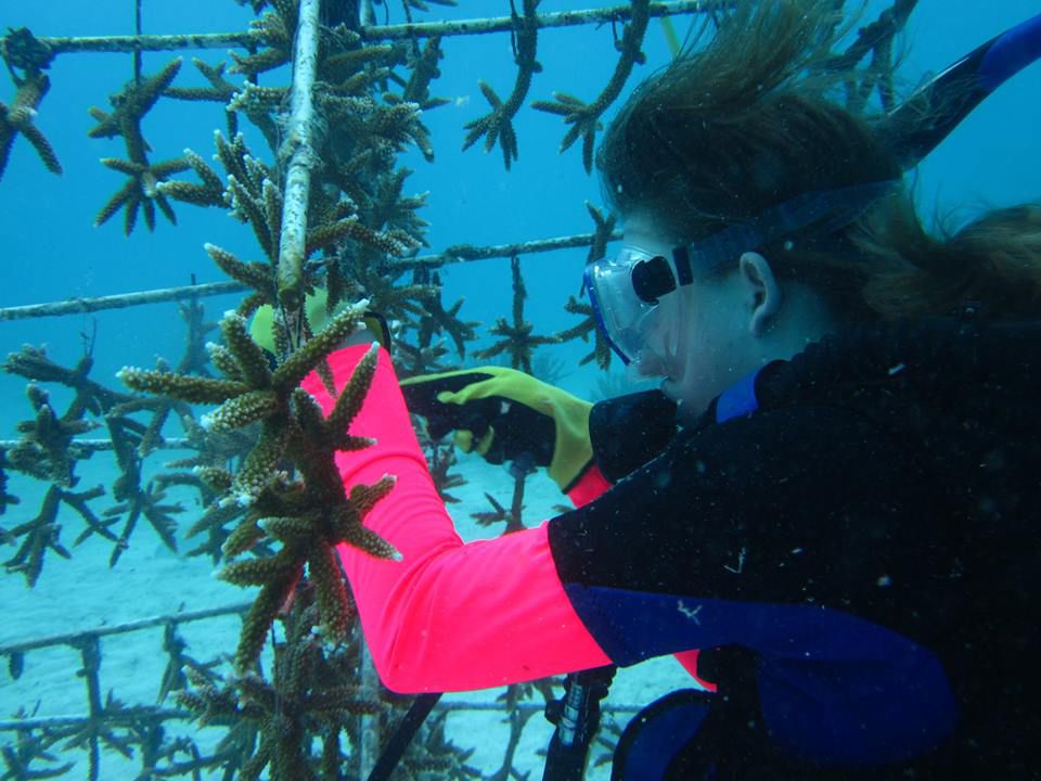 Citizen Scientist inviting volunteers to help create a new coral reef