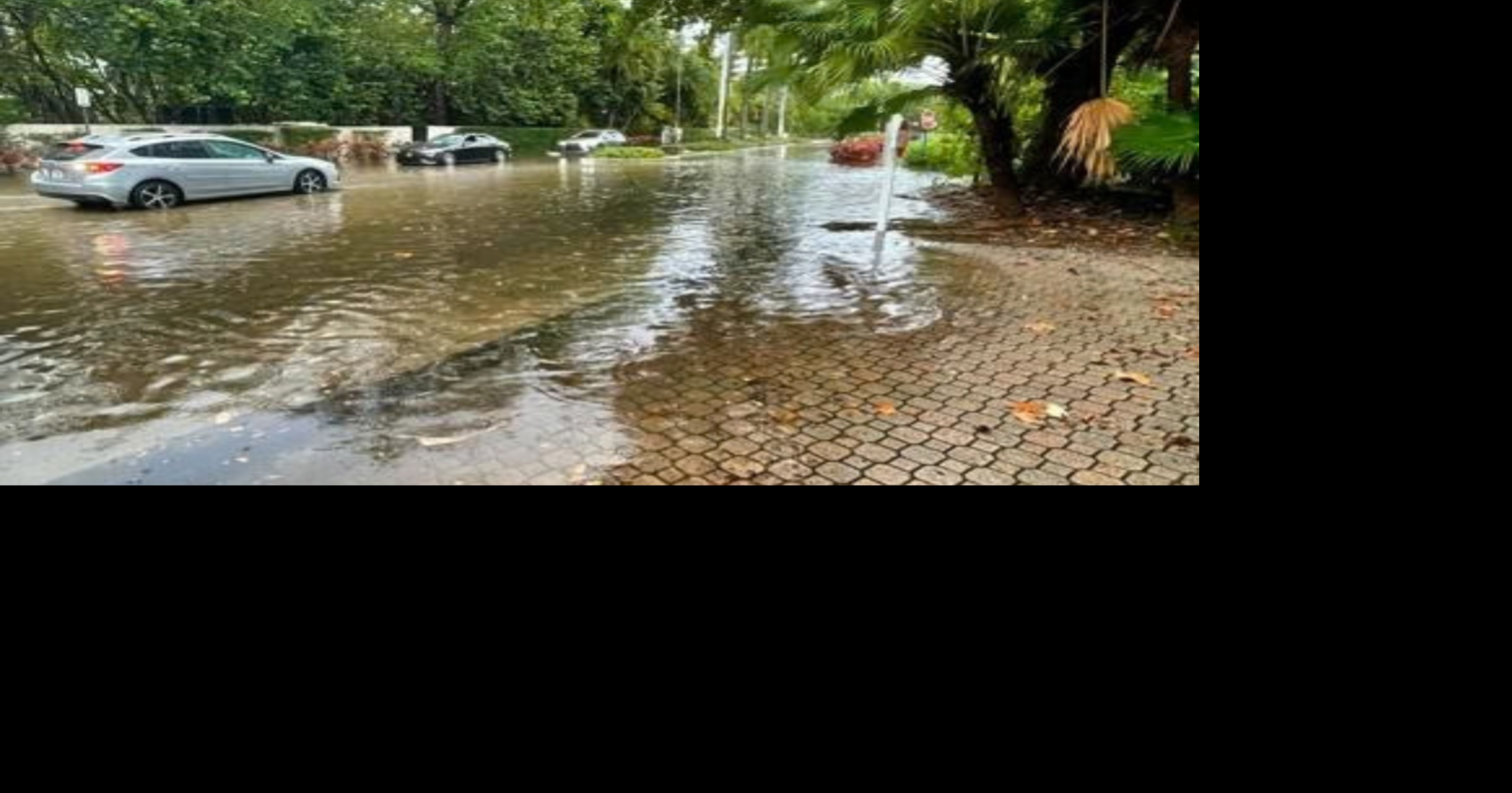 Florida House passes bill limiting local net-zero climate policies