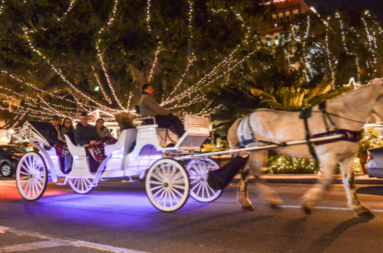 This Florida town is a must-visit for a magical holiday experience |  Florida | islandernews.com