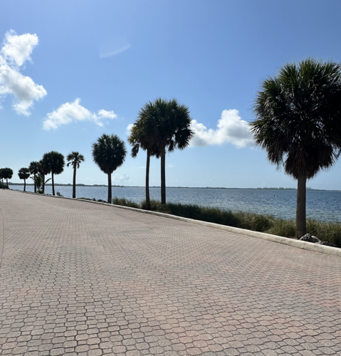Partly cloudy skies and breezy on the Island | Key Biscayne ...
