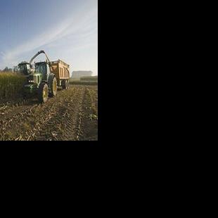 State set record for corn production
