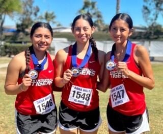 Imperial Girls' Cross Country team qualifies for State