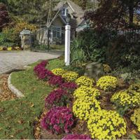 HOME AND GARDEN: A beginner's guide to fall planting and maintenance