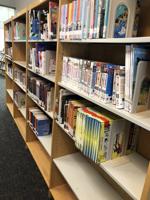 IV HIGH: Manga takes over bookshelves at Southwest High School