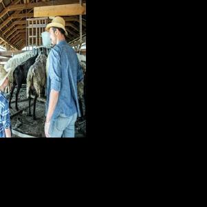 PAWS AND PAGES: Farm animal welfare