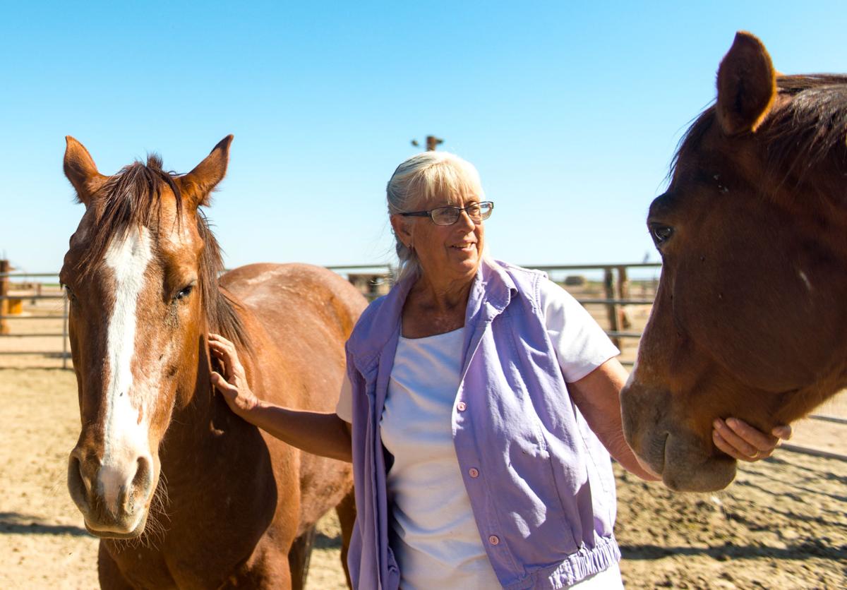 Marsha Boutwell Equine Therapy Helps Improve Lives Of Local