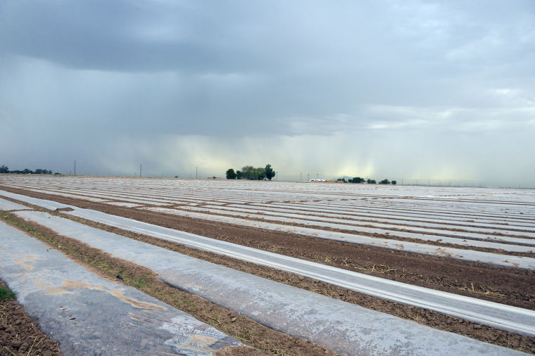 Imperial Valley Weather Photos