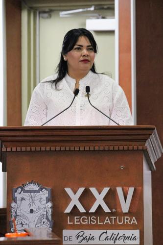 Aprueban diputados incluir violencia patrimonial en ley estatal – Imperial Valley Press Online