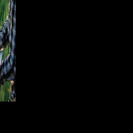 FARM: USDA NASS modernizes data visualization with launch of Ag Insights
