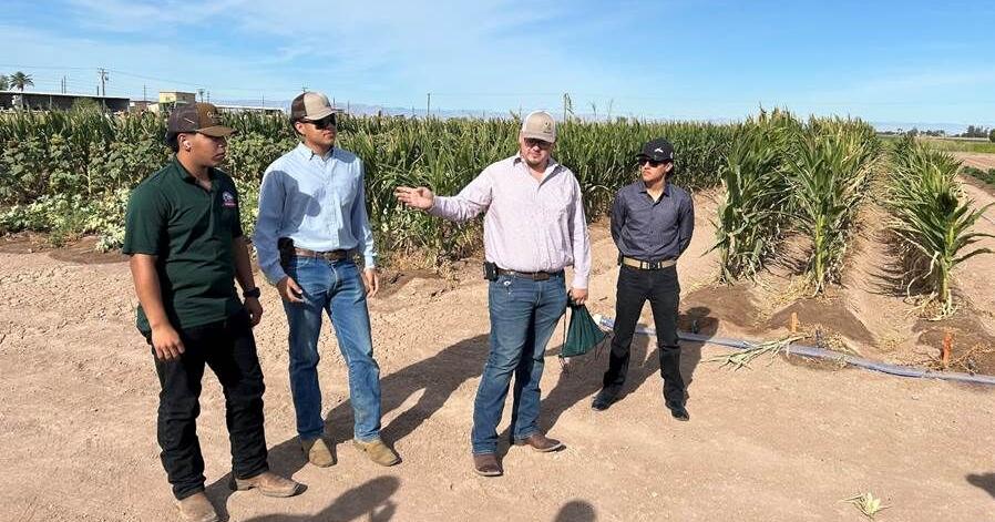 IVC ag students showcase research at UC Desert Research Center