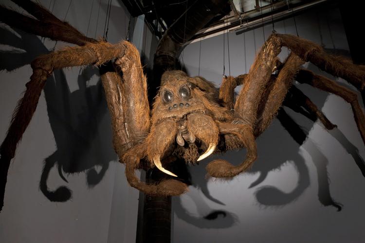 harry potter and the forbidden journey aragog