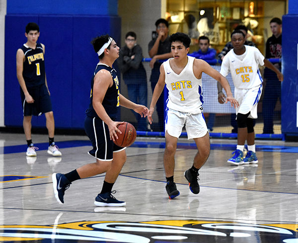 Grand theft basketball: Turnovers fuel Wildcats’ win over Calipatria