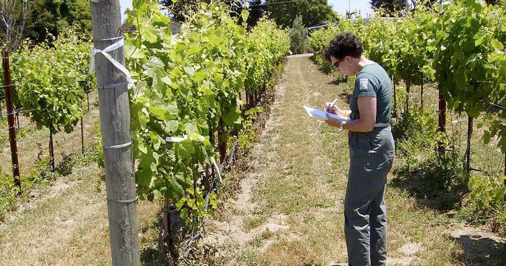 FARM: Pest control innovator shares take on biopesticides