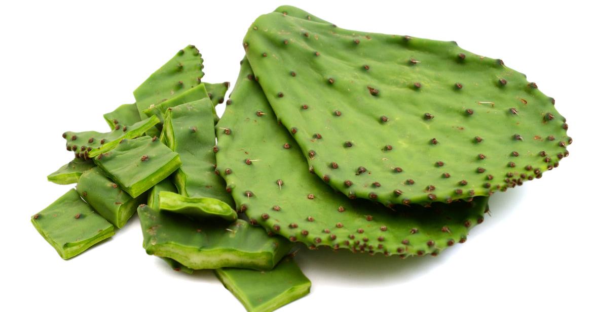 The health benefits of eating cactus | Home and Garden | ivpressonline.com