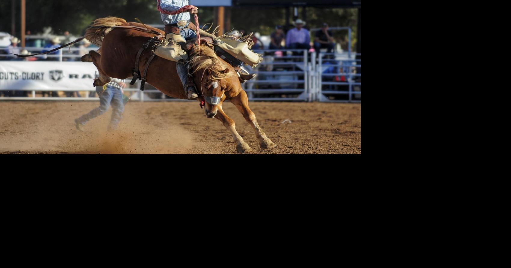 Community support has made 2020 rodeo possible | Local News ...