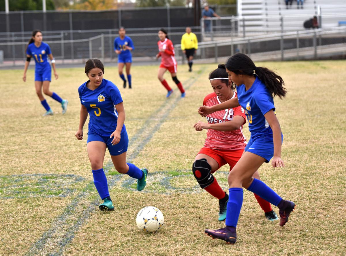 Brawley tops Imperial 3-0 to win Lady Vaquero tournament
