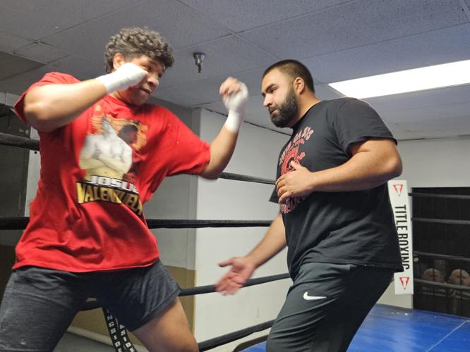 position du boxeur professionnel