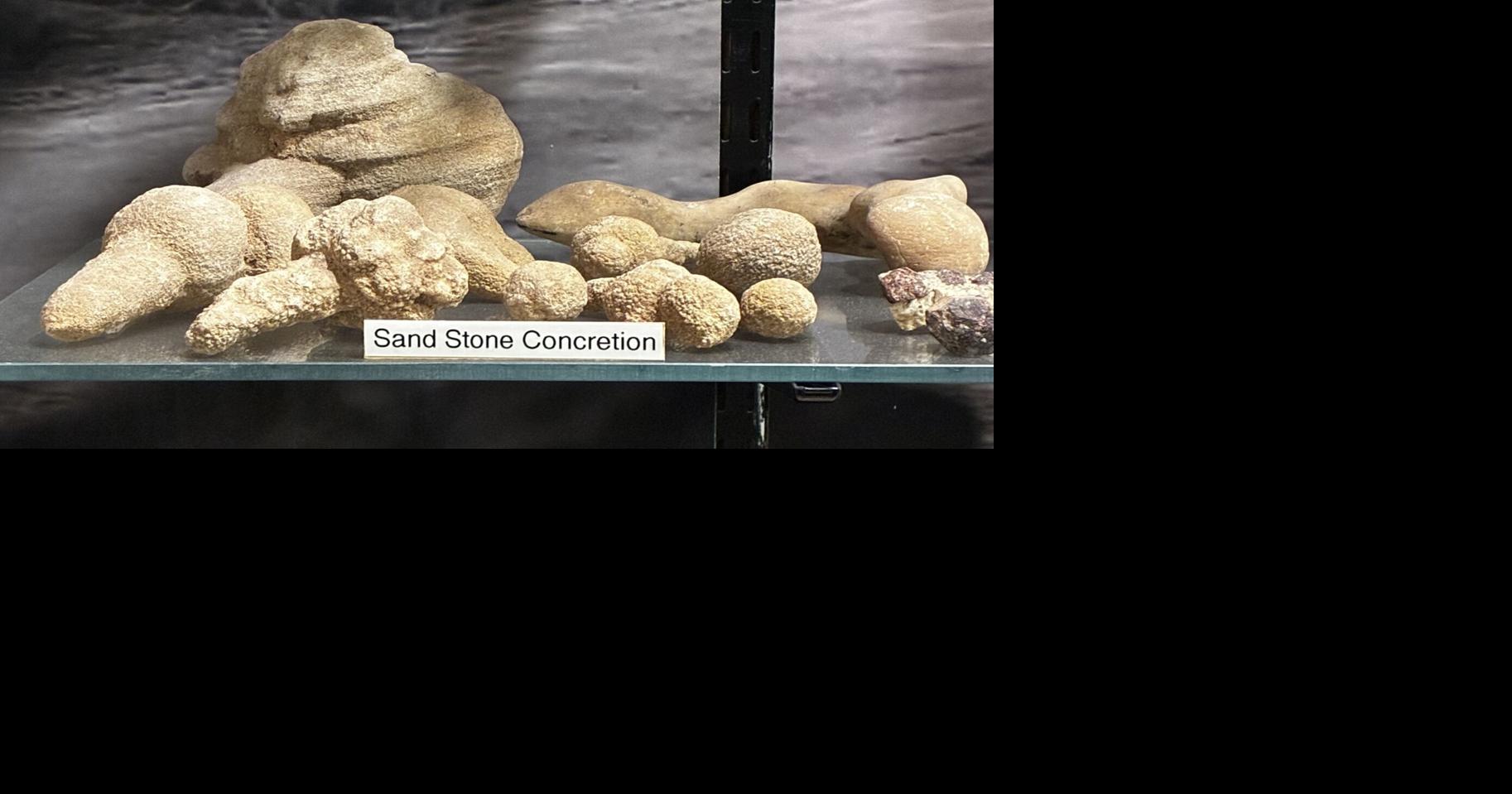 Desert Museum expands Gem and Mineral Exhibit with interactive experience