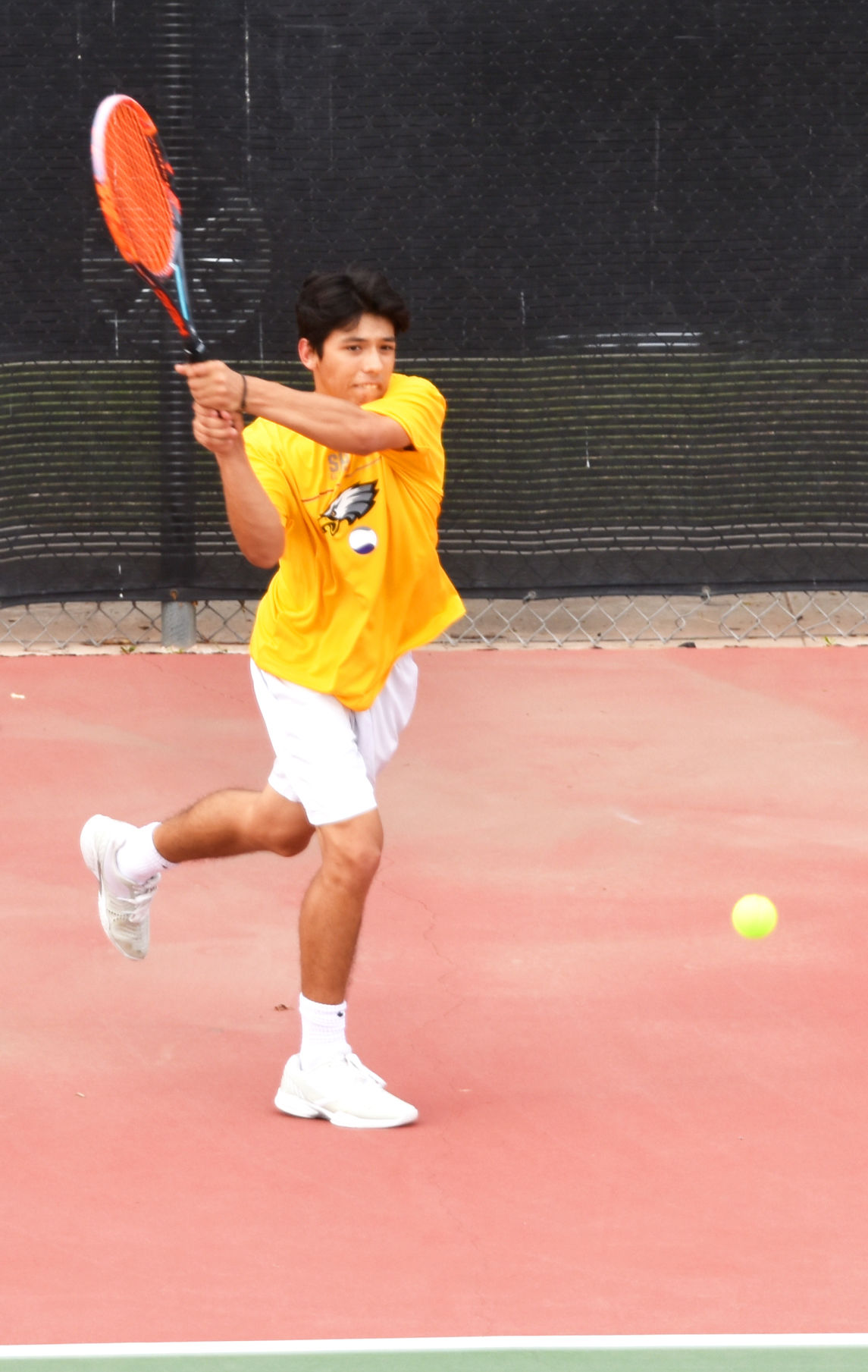 Eagles serve up a win vs. Central
