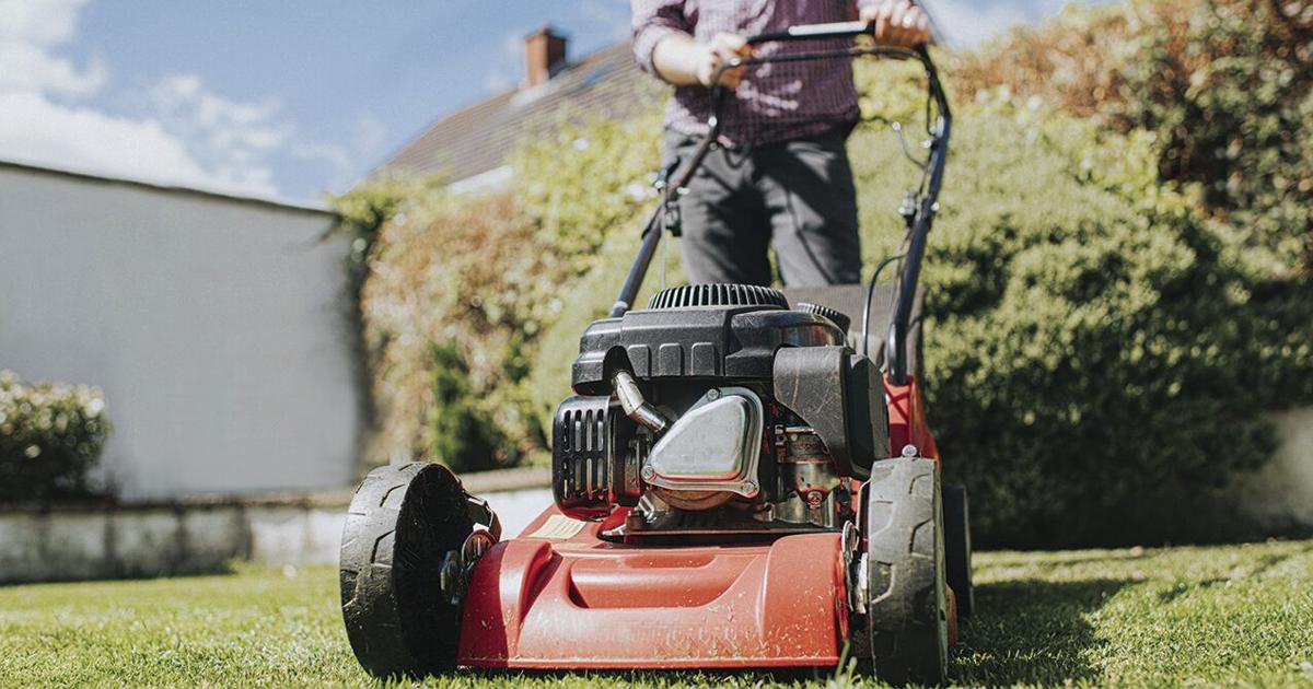 HOME AND GARDEN: How to prepare for drought in advance | Home and Garden HOME AND GARDEN: How to prepare for drought in advance | Home and Garden