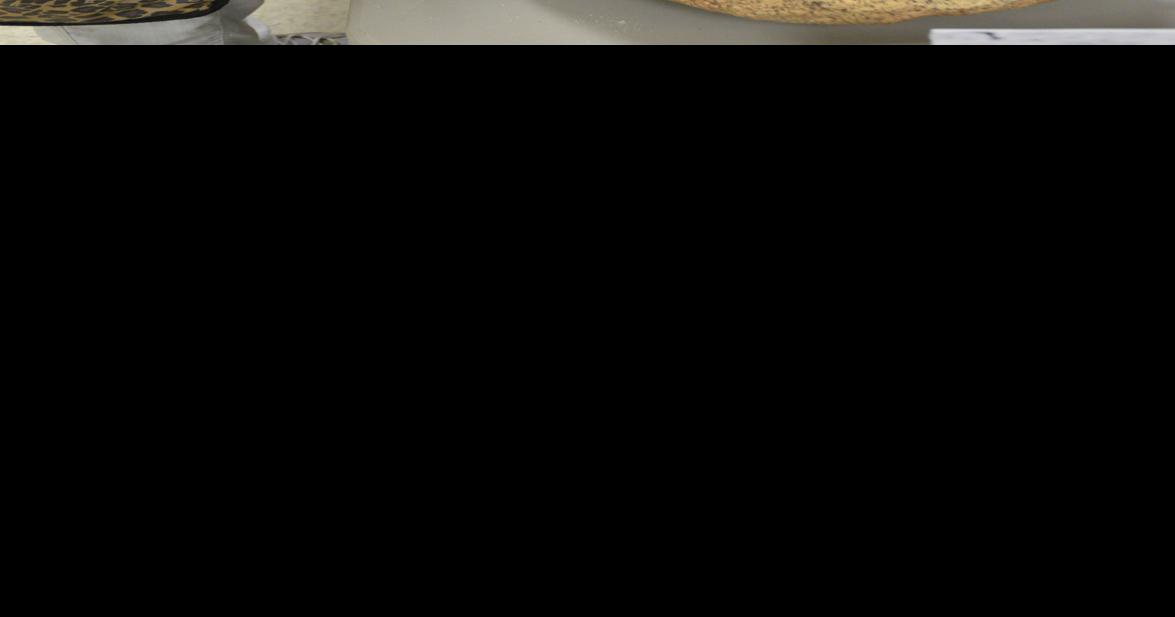 Museum's Shawii Day shows off Kumeyaay culture and more Community