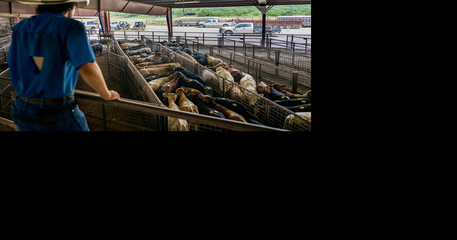 FARM: Trump announces plan to let farmers process their own food