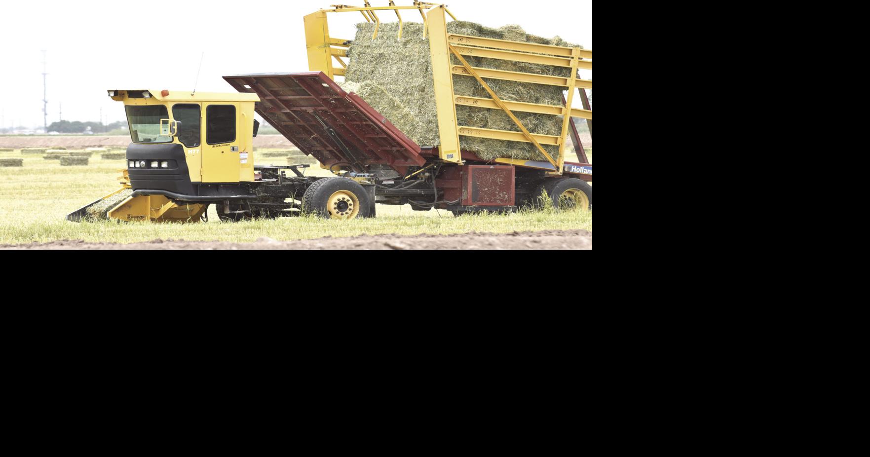 Imperial Valley agriculture industry sees growth in 2017 Local News