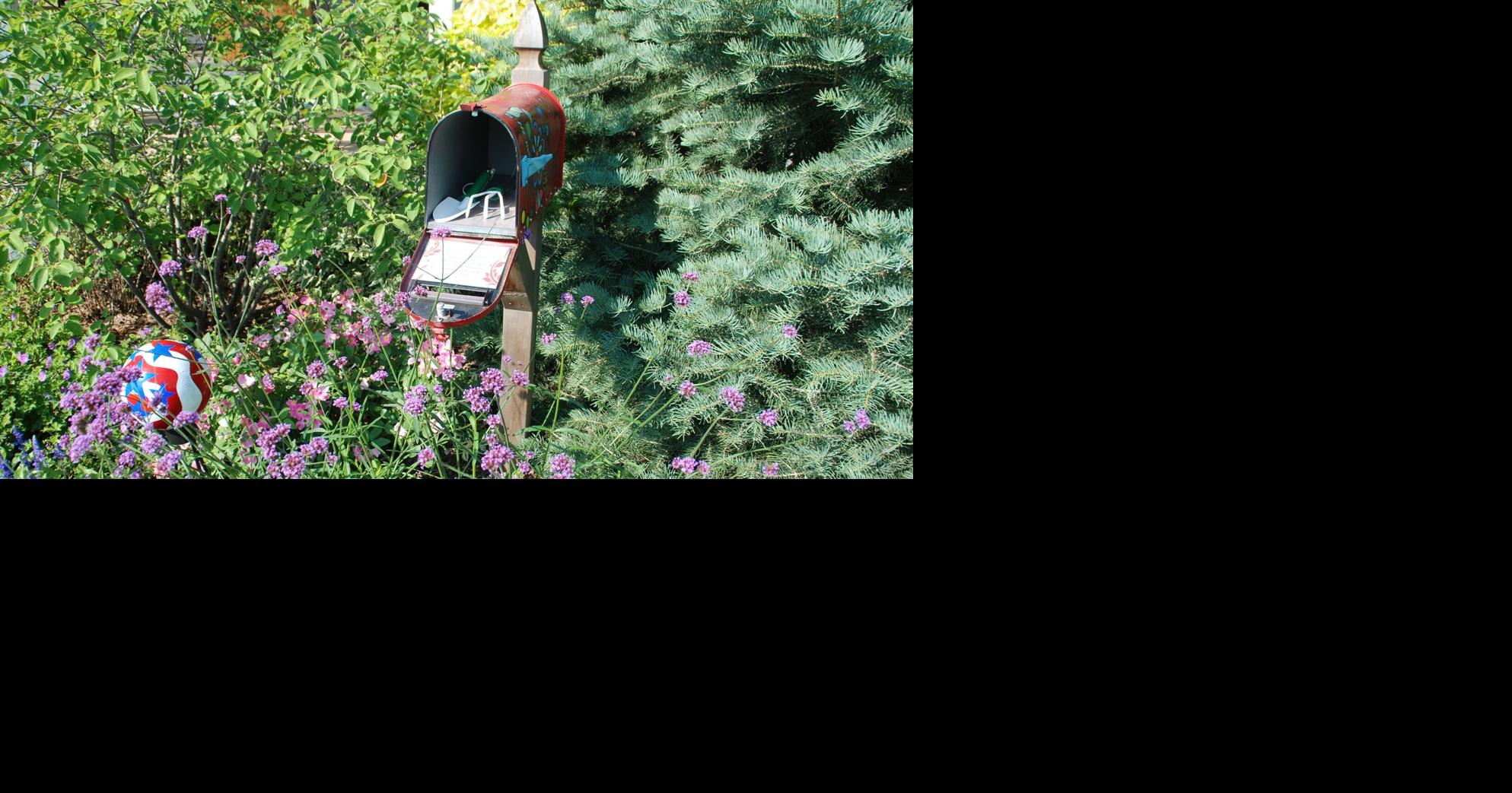 HOME AND GARDEN: Five-minute garden maintenance