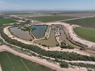 IID Wetlands