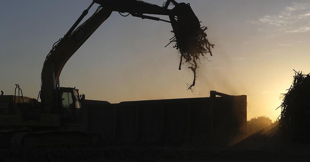 FARM: Report maps impact of wine downturn on grape acreage